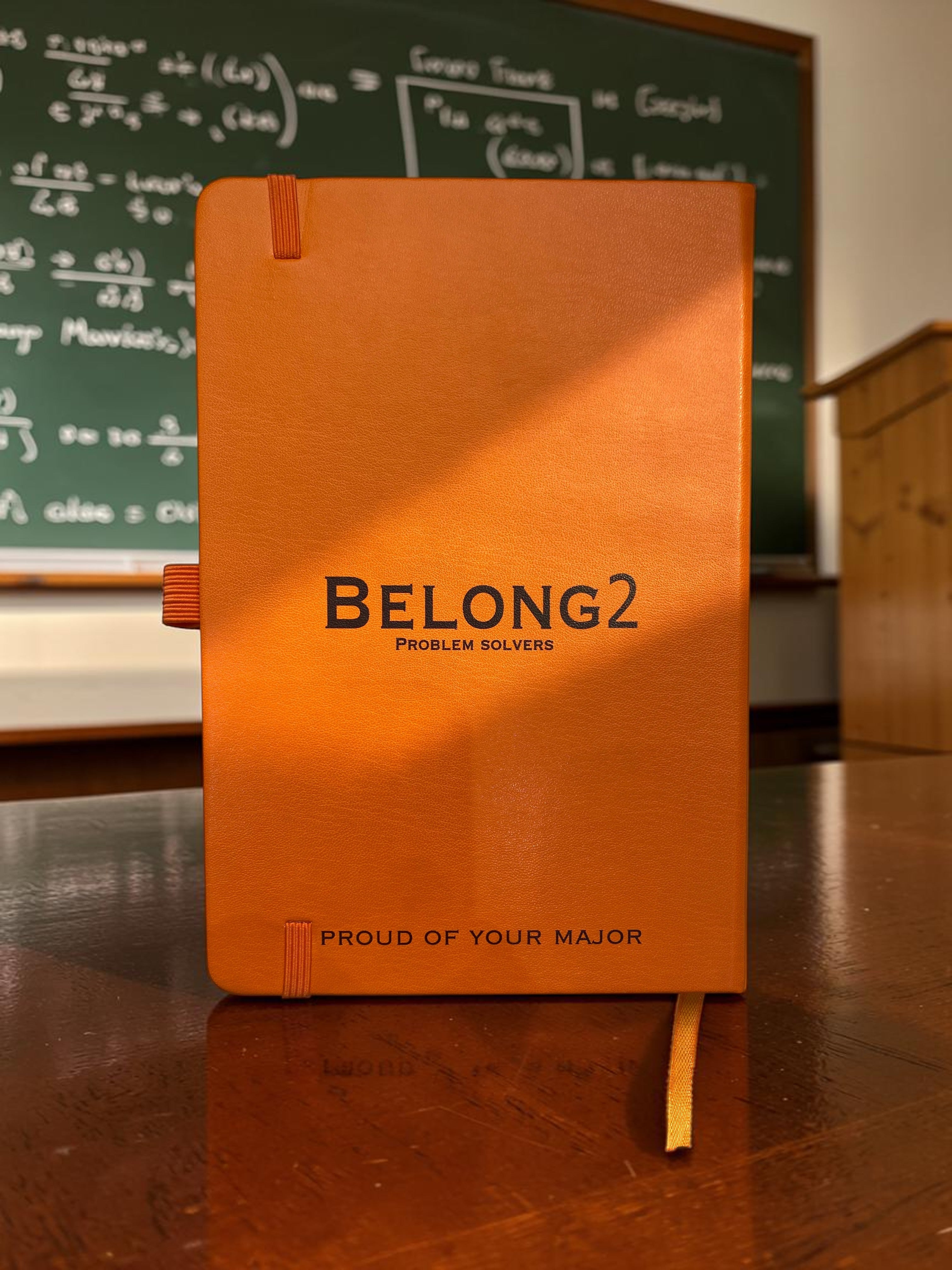Belong2 Problem solvers notebook