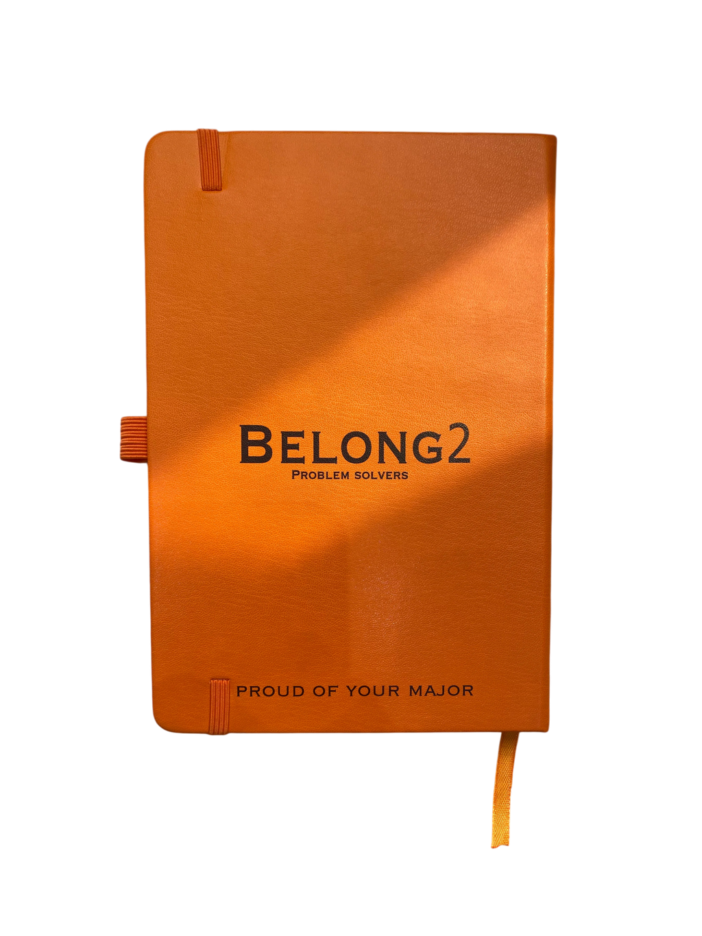 Belong2 Problem solvers notebook
