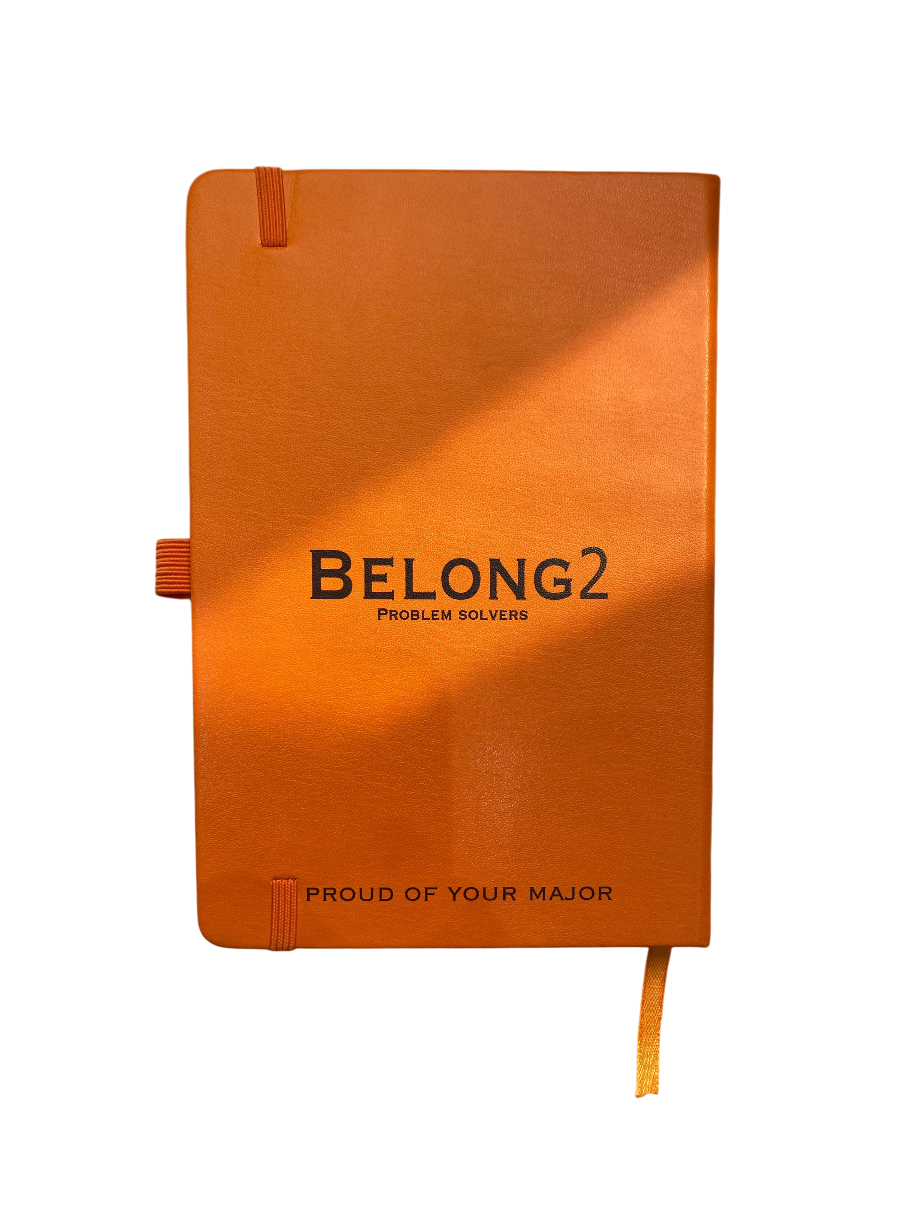 Belong2 Problem solvers notebook